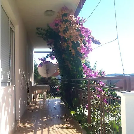 Pepica Traù