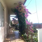 Pepica 特罗吉尔